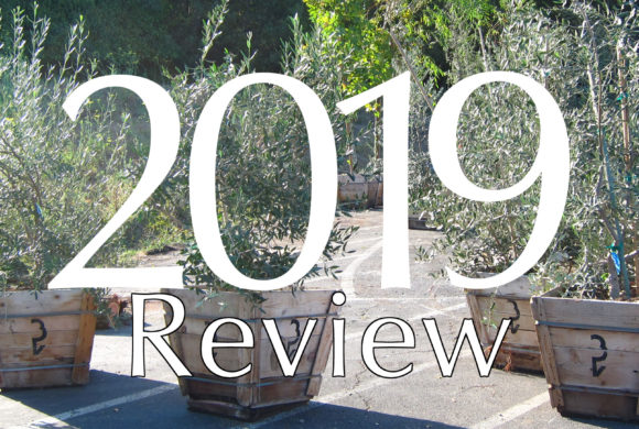 2019 in Review