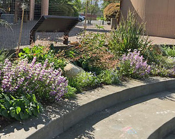 Native Garden at the Bay Model