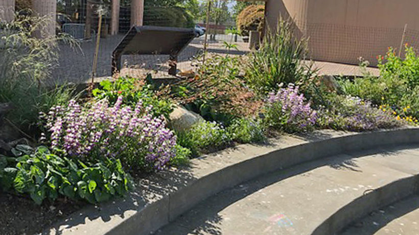 Native Garden at the Bay Model