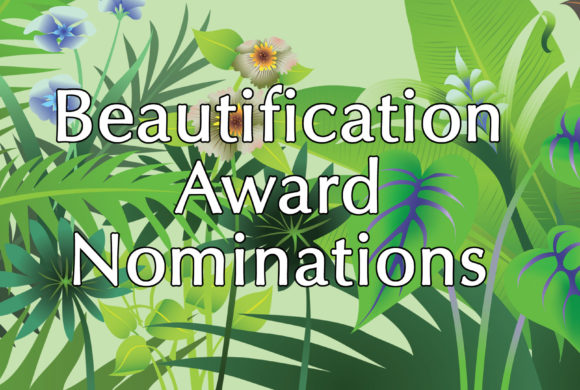 Award Nominations Needed