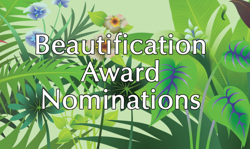 Award Nominations Needed