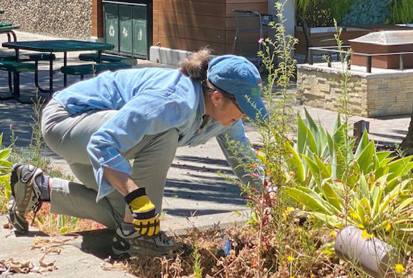 USPS thanks Green Thumbs!