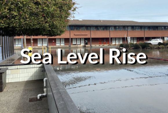 Sea Level Rise Survey