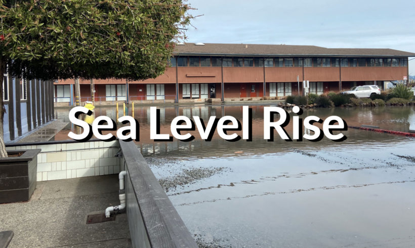 Sea Level Rise Survey