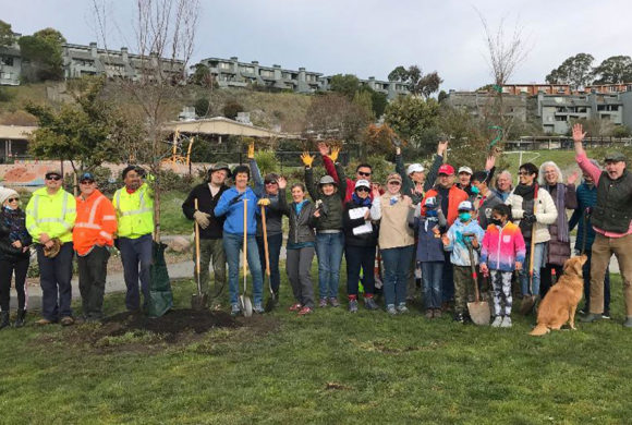 Volunteers planted over 30 trees at MLK Park