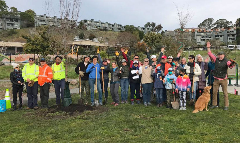 Volunteers planted over 30 trees at MLK Park