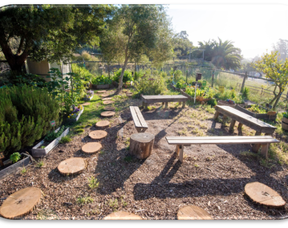 MLK Academy’s School Gardens