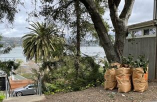 Sausalito Steps