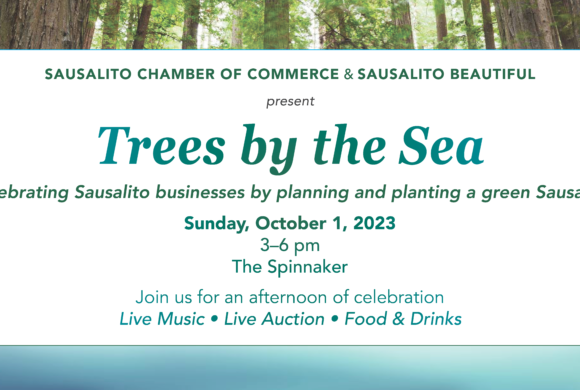 Thank You for Attending Our Trees by the Sea Fundraiser