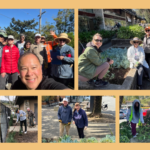 Upcoming Green Thumbs & Adopt-a-Park Volunteer Events