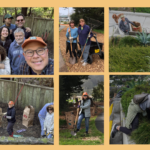 Sausalito Beautiful is expanding our Adopt-a-Park program!