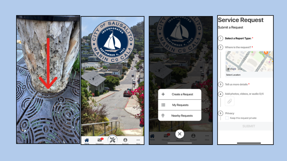 Help Sausalito’s Street Trees Thrive  – Use the Fix-It App!