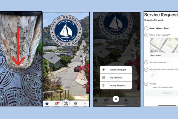 Help Sausalito’s Street Trees Thrive  – Use the Fix-It App!