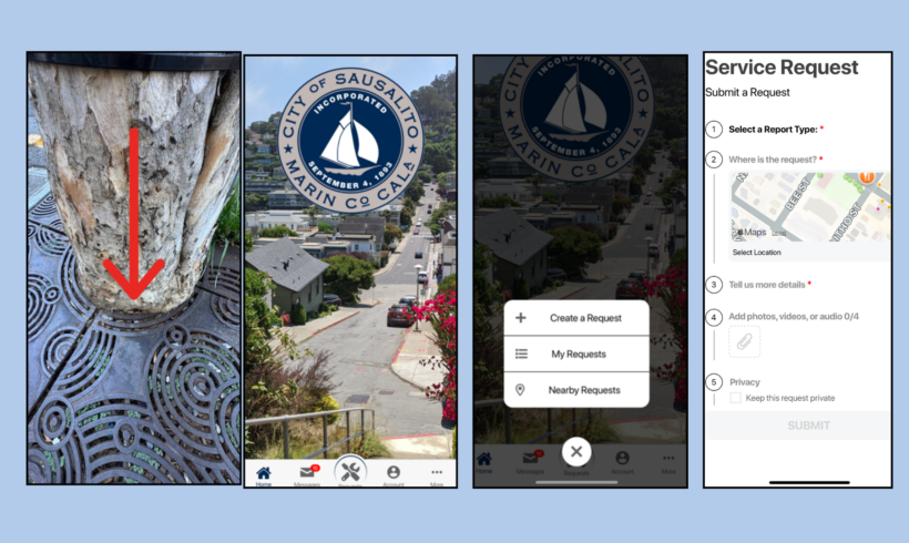Help Sausalito’s Street Trees Thrive  – Use the Fix-It App!